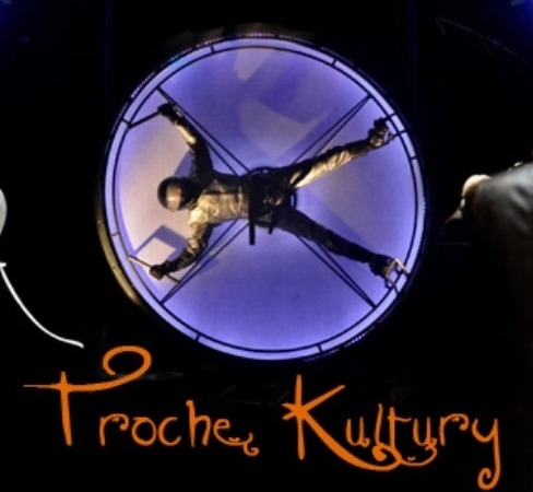 TROCHĘ KULTURY