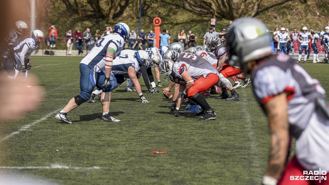Husaria Szczecin (różowe spodenki) - Sharks Warszawa 24:6. Fot. Jarosław Gaszyński [Radio Szczecin] Husaria wygrywa w TopLidze [ZDJĘCIA]