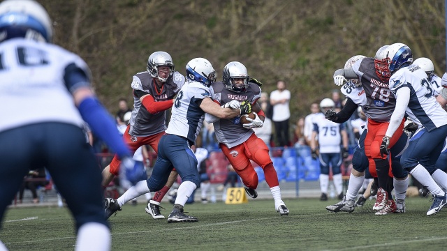 Husaria Szczecin (różowe spodenki) - Sharks Warszawa 24:6. Fot. Jarosław Gaszyński [Radio Szczecin] Husaria wygrywa w TopLidze [ZDJĘCIA]