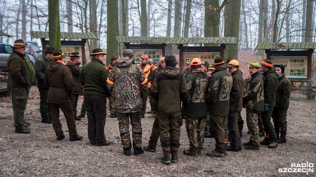 Aktywiści z Inicjatywy na Rzecz Zwierząt Basta! chcą uniemożliwić łowy w Puszczy Bukowej niedaleko Glinnej. Fot. Olaf Nowicki [Radio Szczecin] Myśliwi nie postrzelali. Aktywiści z Basty w akcji [WIDEO, ZDJĘCIA]