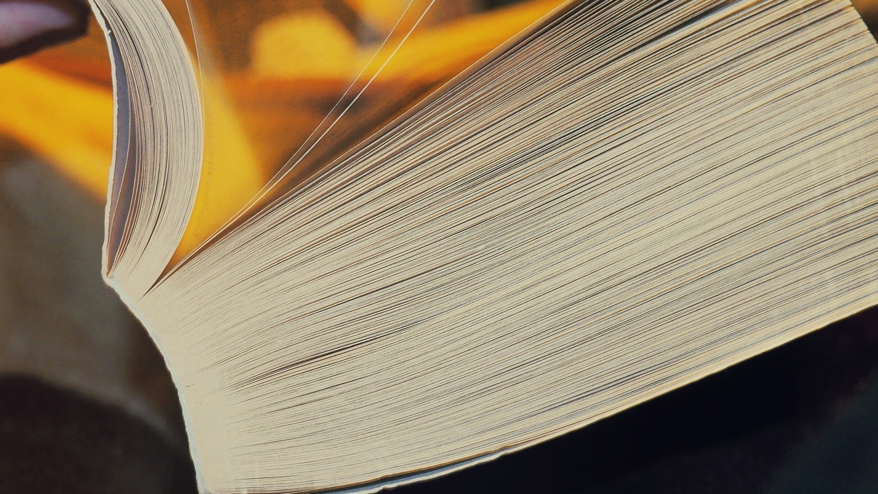 W 2024 roku lekturę co najmniej jednej książki zadeklarowało 41 procent ankietowanych Polaków - wynika z najnowszego raportu Biblioteki Narodowej o stanie czytelnictwa książek w Polsce w 2024 roku.