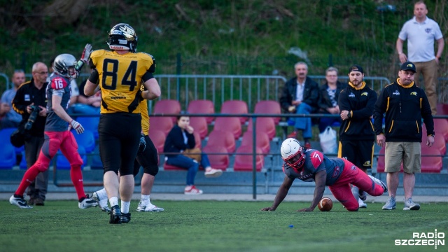 Husaria Szczecin - Seahawks Gdynia 13:31. Fot. Olaf Nowicki [Radio Szczecin] Porażka Husarii z wicemistrzem Polski [ZDJĘCIA]