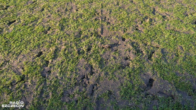 Tony piasku na boisku - tan wygląda w środę stadion, na którym swoje mecze rozgrywa w Szczecinie Pogoń - rozpoczęła się naprawa zdewastowanej murawy. Fot. Łukasz Szełemej [Radio Szczecin] Zdewastowana murawa po meczu Pogoni. Trwają prace na stadionie [ZDJĘCIA]