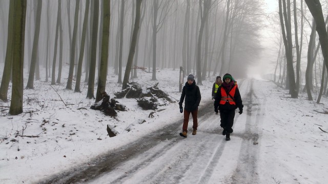 Basta znów w akcji. Aktywiści blokowali ambony [WIDEO, ZDJĘCIA]