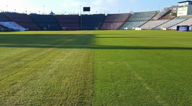 Murawa na stadionie jak nowa