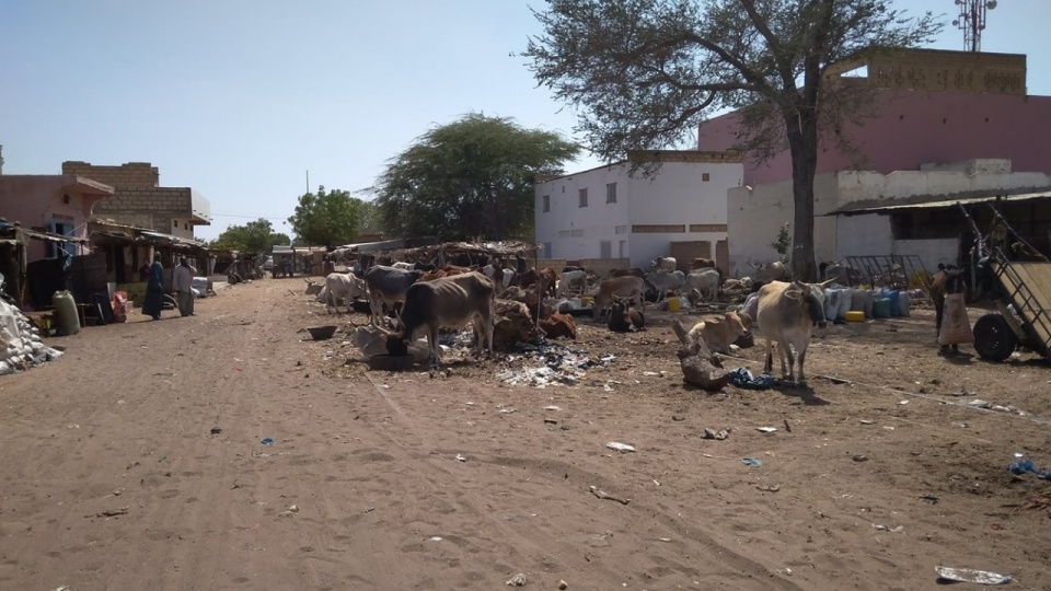 Senegal. Fot. Jakub Jaroszek