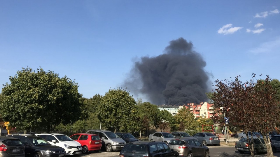 Fot. słuchaczka Patrycja Niedośmiałek
