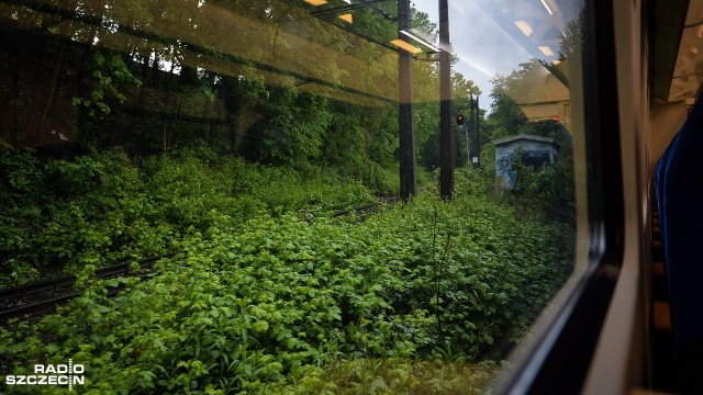 Fot. Łukasz Szełemej [Radio Szczecin] Podróż trasą przyszłej Szczecińskiej Kolei Metropolitalnej [WIDEO, ZDJĘCIA]