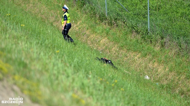 6 osób nie żyje, 11 jest rannych - to skutki tragicznego wypadku, do którego doszło niedaleko węzła Dąbie na drodze S3 w stronę Świnoujścia. Fot. Łukasz Szełemej [Radio Szczecin] Tragiczny wypadek na S3. Sześć osób zginęło [WIDEO, ZDJĘCIA]