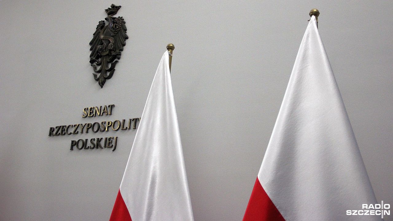 Być marszałkiem Senatu Nie skorzystam