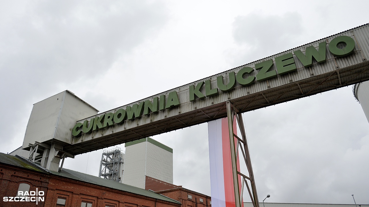 To była wyjątkowo dobra kampania - tak zakończony sezon w cukrowni Kluczewo ocenia dyrektor firmy - Paweł Dawiskiba. W tym roku zakład w Kluczewie przerobił ponad 1 milion 200 tysięcy ton buraków cukrowych. To o 25 procent więcej niż rok temu.