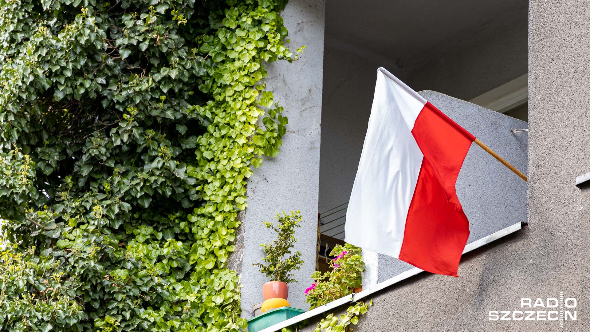 Polonia też walczyła o niepodległość