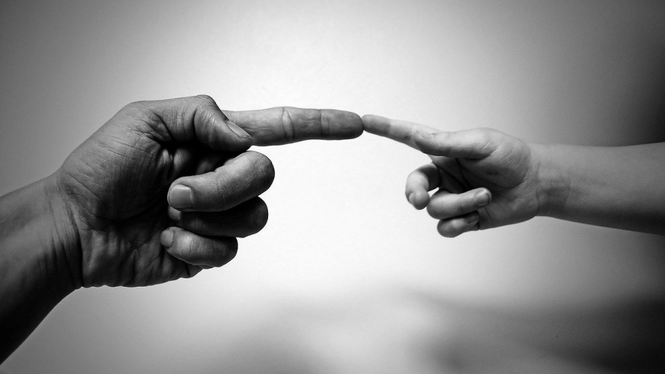 Fot. pixabay.com / PublicDomainPictures (CC0 domena publiczna)