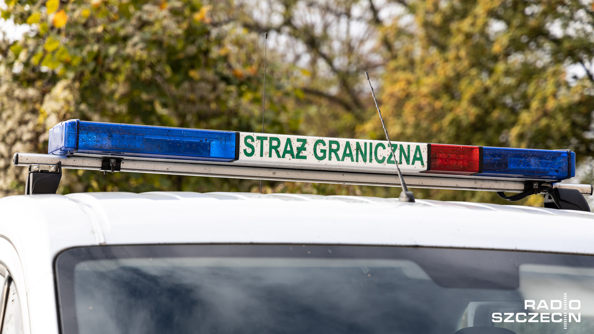 Straż Graniczna o zatrzymaniach migrantów