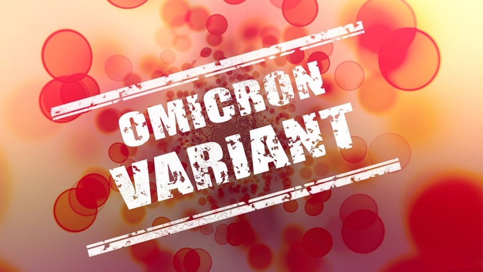 Wariant Omikron koronawirusa został wykryty w połowie listopada w Południowej Afryce. źródło: https://pixabay.com/pl/6828700/geralt/CC0 - domena publiczna