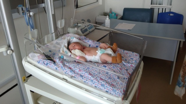 Leki i żywność, które dotarły do Lwowa, to już czwarty konwój z pomocą humanitarną zorganizowany przez szczecińską Fundację Małych Stópek. Fot. Tomasz Duklanowski [Radio Szczecin] Fundacja Małych Stópek we Lwowie. Zawieźli leki dla noworodków [WIDEO]