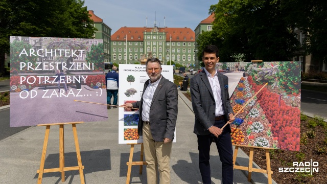 Radni PiS chcą więcej kwiatów i krzewów w alei Jana Pawła II