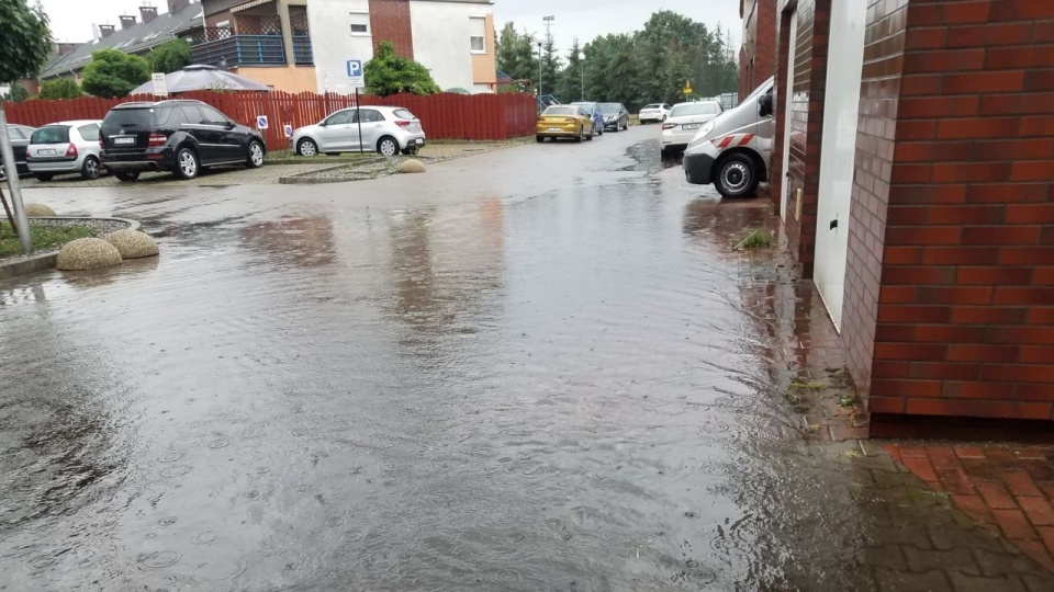 Fot. Słuchacz