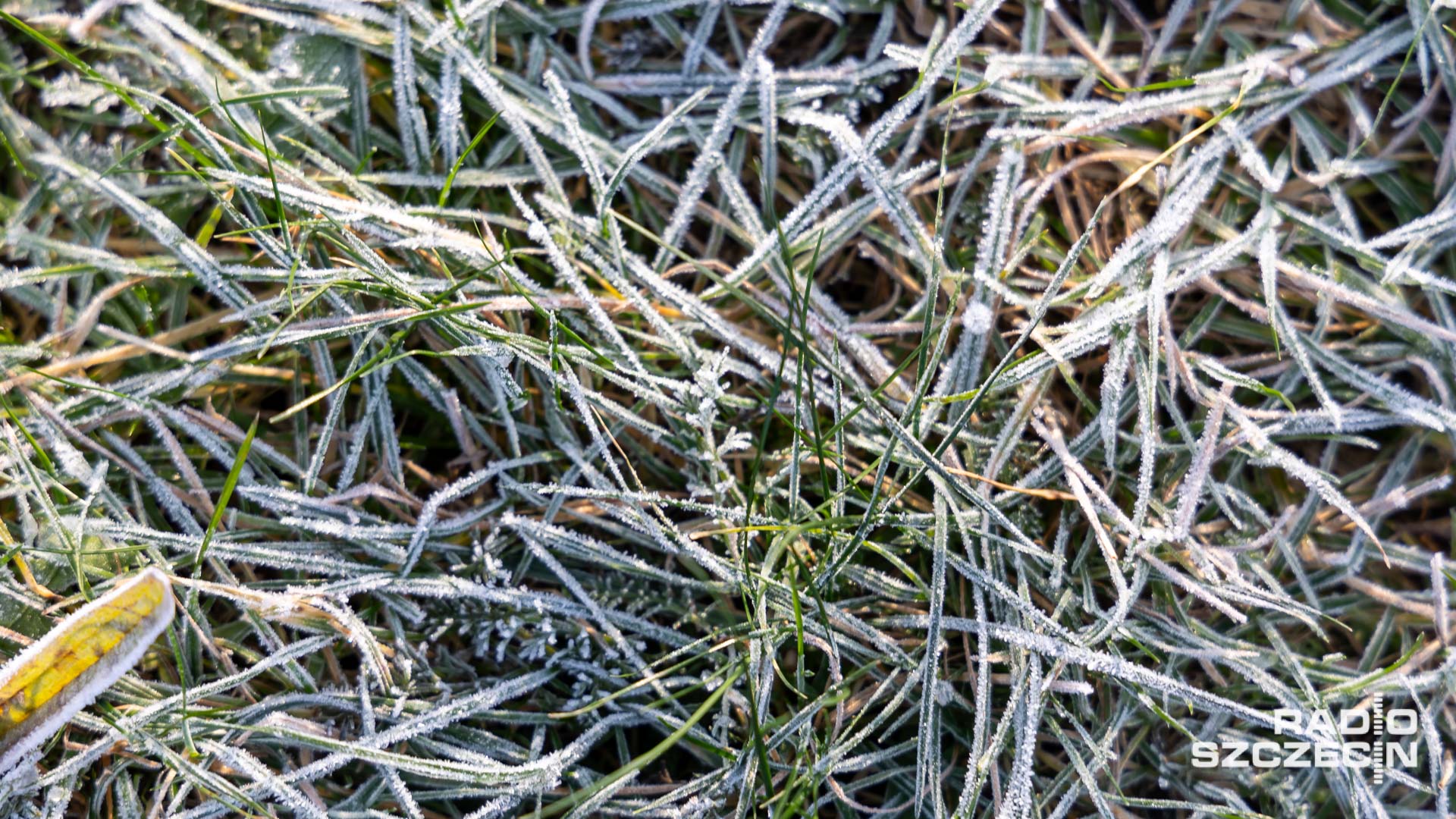 Instytut Meteorologii i Gospodarki Wodnej ostrzega przed przymrozkami nad morzem.