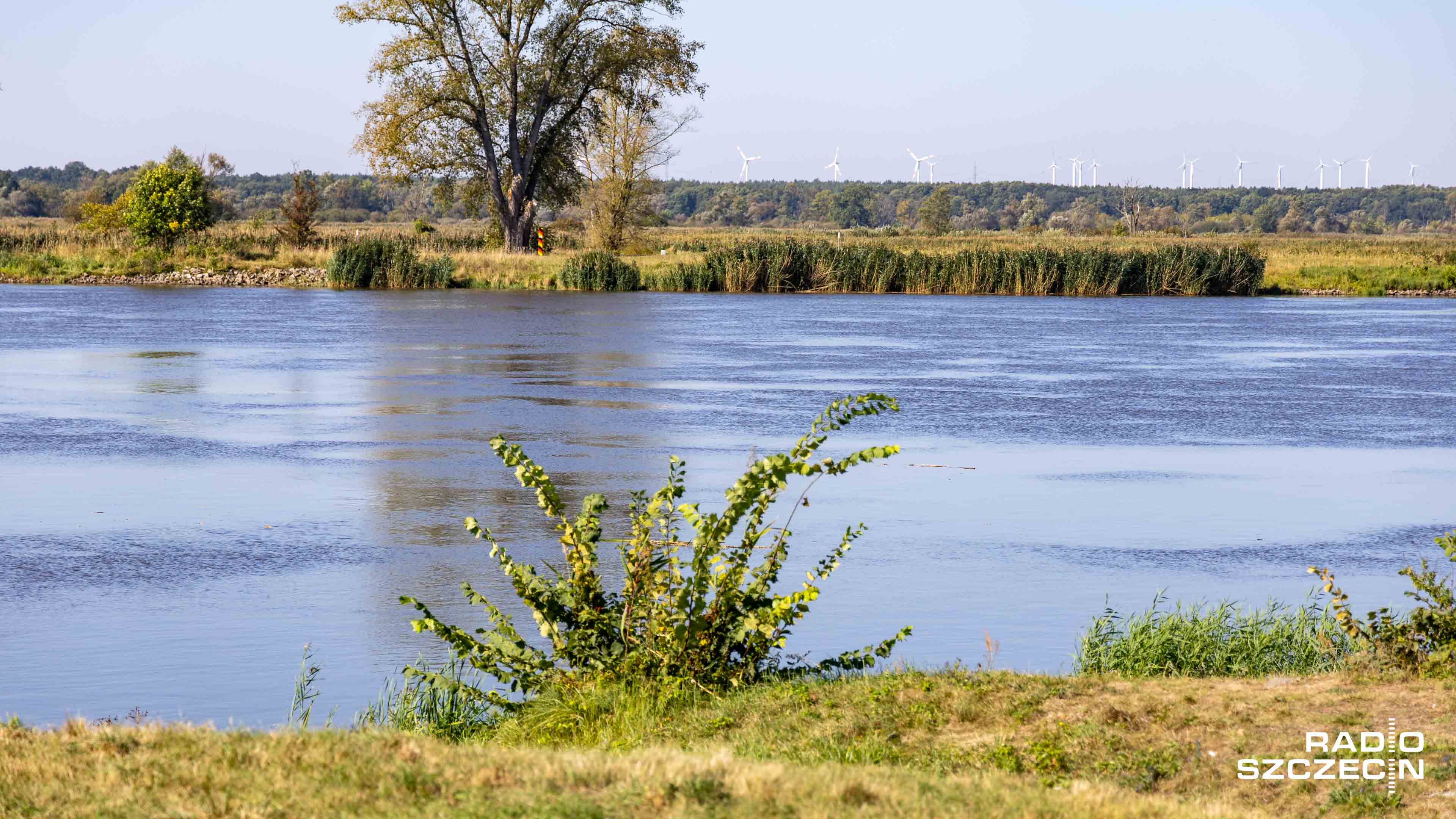 Coraz mniejsza ilość opadów i coraz dłuższe okresy suszy zmuszają nas do podejmowania zdecydowanych działań - mówi prof. Adam Tański z Zachodniopomorskiego Uniwersytetu Technologicznego.