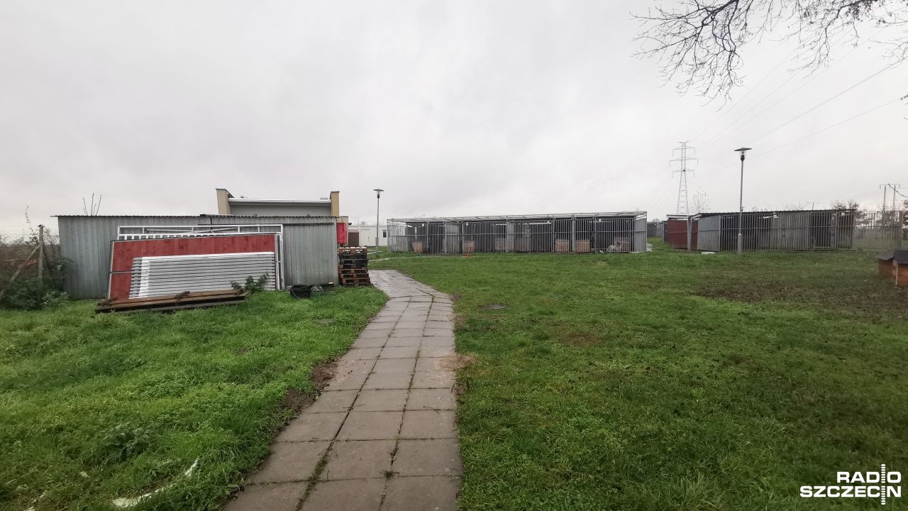 Półtora miliona złotych wyda w tym roku Stargard na pomoc bezdomnym zwierzętom. Milion dwieście tysięcy trafi do schroniska w Kiczarowie.