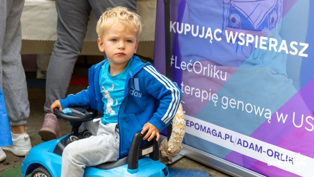 Miedwie dla Adasia Orlika Możesz pomóc