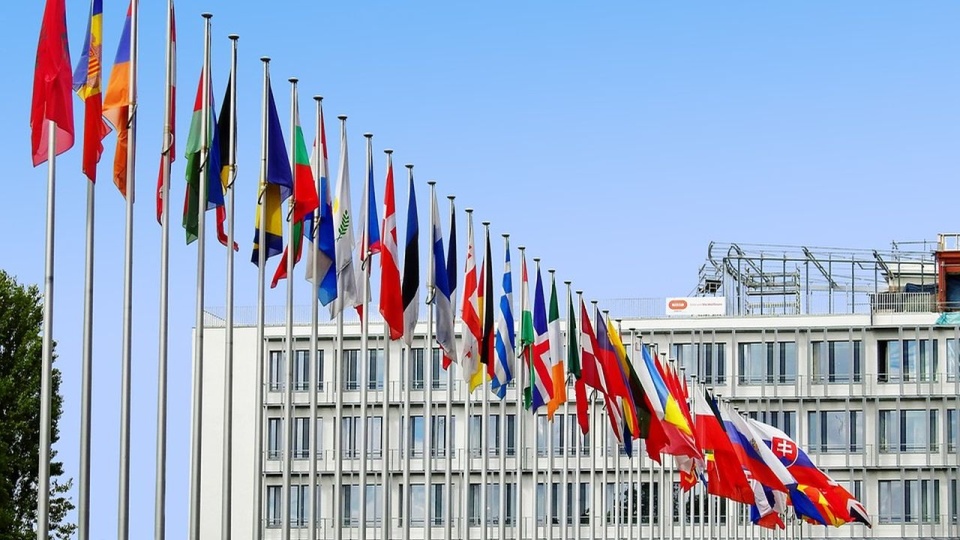 źródło: https://pixabay.com/pl/1615129/Bru-nO/CC0 - domena publiczna
