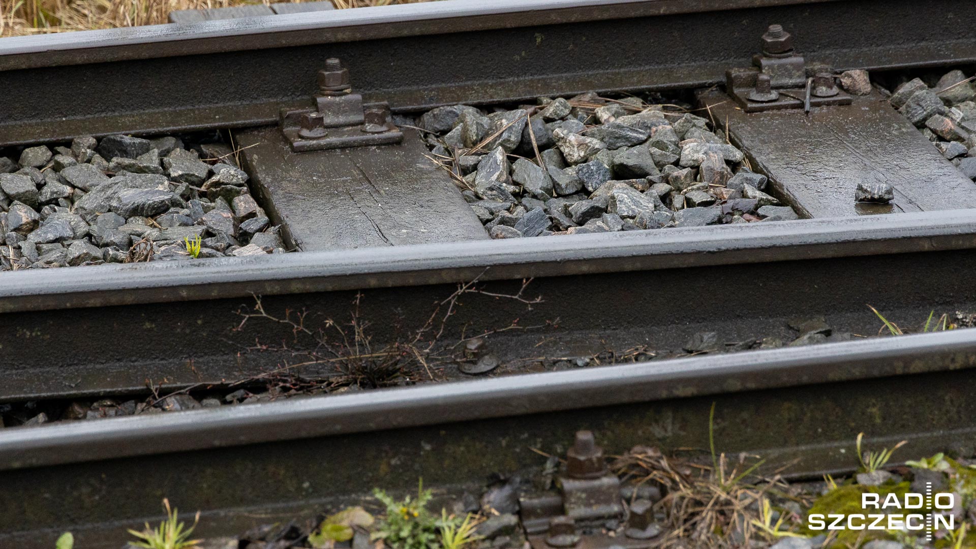 Modernizacja trasy kolejowej Szczecin - Berlin. "Czekamy na rządowe decyzje"