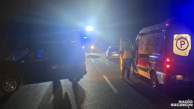 Wypadek w gminie Biesiekierz, gdzie samochód osobowy zderzył się z jeleniem. Do zdarzenia doszło na drodze wojewódzkiej nr 112 na wysokości Parsowa.