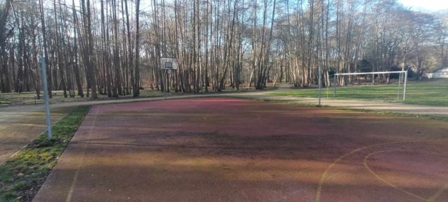 Usuwane są nieczystości z terenów zielonych. Poza tym prowadzone prace pielęgnacyjne, które obejmują przycinanie krzewów i traw ozdobnych.