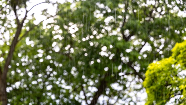 W środę niepotrzebny był sprzęt zimowy na drogach - temperatury są i będą na plusie.