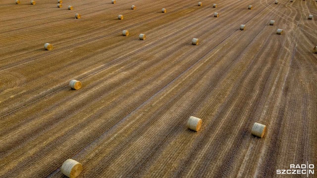Prawie tysiąc wniosków o przyznanie płatności bezpośredniej złożyli - do tej pory - zachodniopomorscy producenci rolni do Agencji Restrukturyzacji i Modernizacji Rolnictwa.