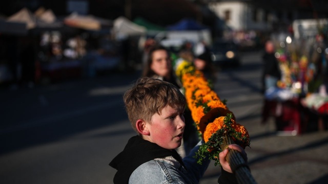 28 metrów i 59 centymetrów - tyle mierzy najwyższa palma przygotowana na konkurs w Lipnicy Murowanej.