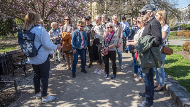 Były historie, ciekawostki i degustacja herbaty: mieszkańcy ruszyli podziwiać szczecińskie magnolie.