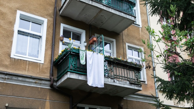 Zamiatanie, ścieranie kurzy i oczywiście mycie okien. W wielu domach trwają ostatnie porządki przed świętami wielkanocnymi. O to czy szczecinianie zdążyli wypucować swoje mieszkania na święta pytała nasza reporterka Weronika Łyczywek.