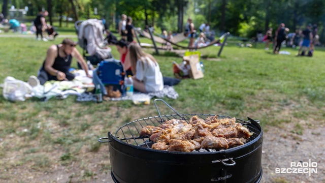 Polana Harcerska, Lasek Arkoński, a także Park Leśny Klęskowo - to tylko niektóre miejsca w Szczecinie, gdzie można legalnie rozpalić ogień. Słoneczna pogoda skłania do grillowania podczas tegorocznej majówki.