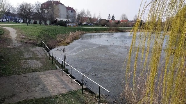 Jest pierwszy krok w kierunku poprawy przepływu rzeki Bukowej i zapobieganiu zanieczyszczaniu Jeziorka Słonecznego. Wody Polskie zawarły umowę na wykonanie zlewni rzeki płynącej przez szczecińskie Pogodno i Gumieńce.