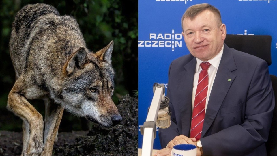 Fot. Pixabay / Maciej Papke [Radio Szczecin]